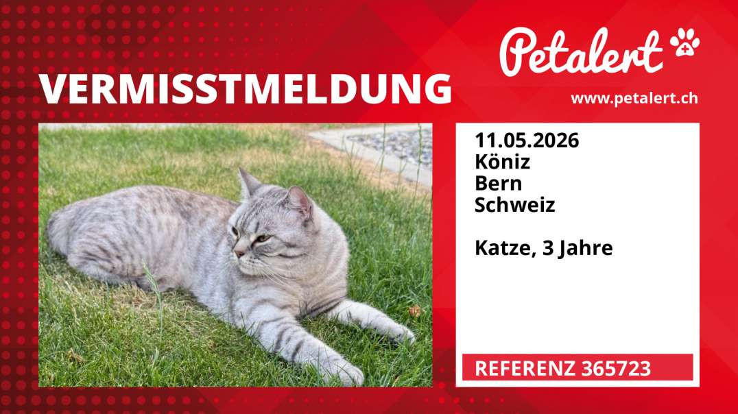 Vermisstmeldung #365723 Köniz / Bern / Schweiz