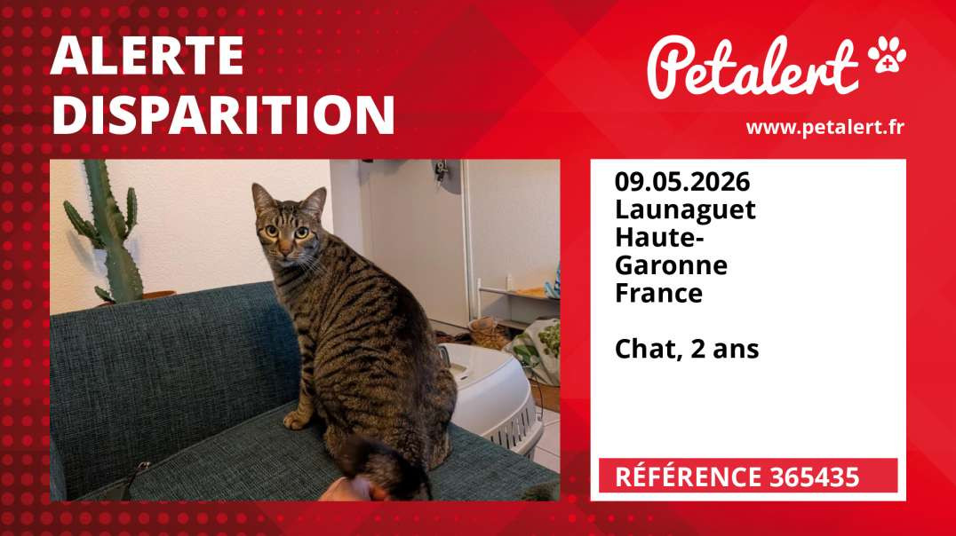 Alerte Disparition #365435 Launaguet / Haute-Garonne / France