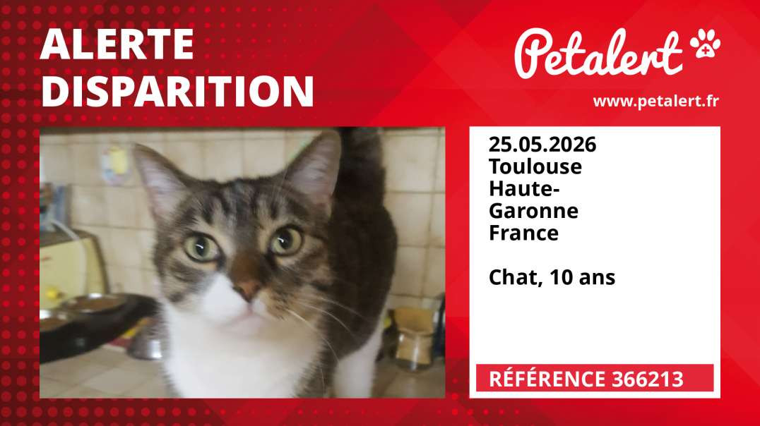 Alerte Disparition #366213 Toulouse / Haute-Garonne / France