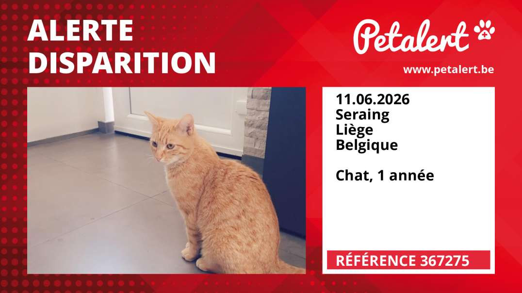 Alerte Disparition #367275 Seraing / Liège / Belgique
