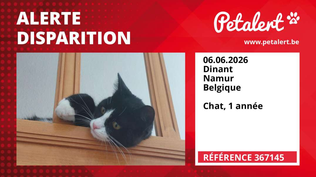Alerte Disparition #367145 Dinant / Namur / Belgique