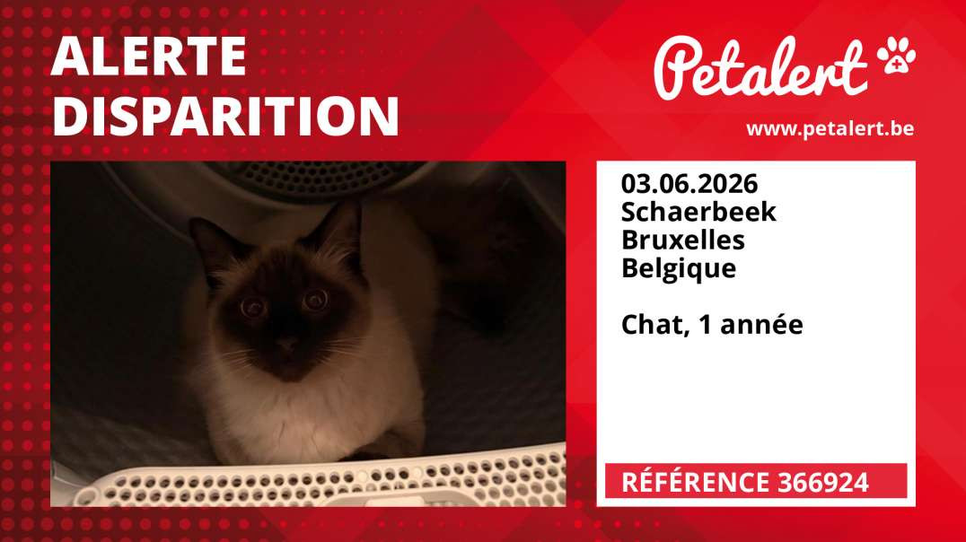 Alerte Disparition #366924 Schaerbeek / Bruxelles / Belgique