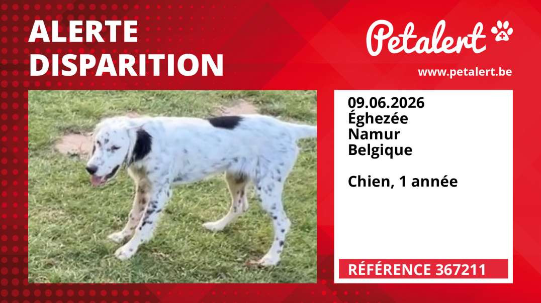 Alerte Disparition #367211 Éghezée / Namur / Belgique