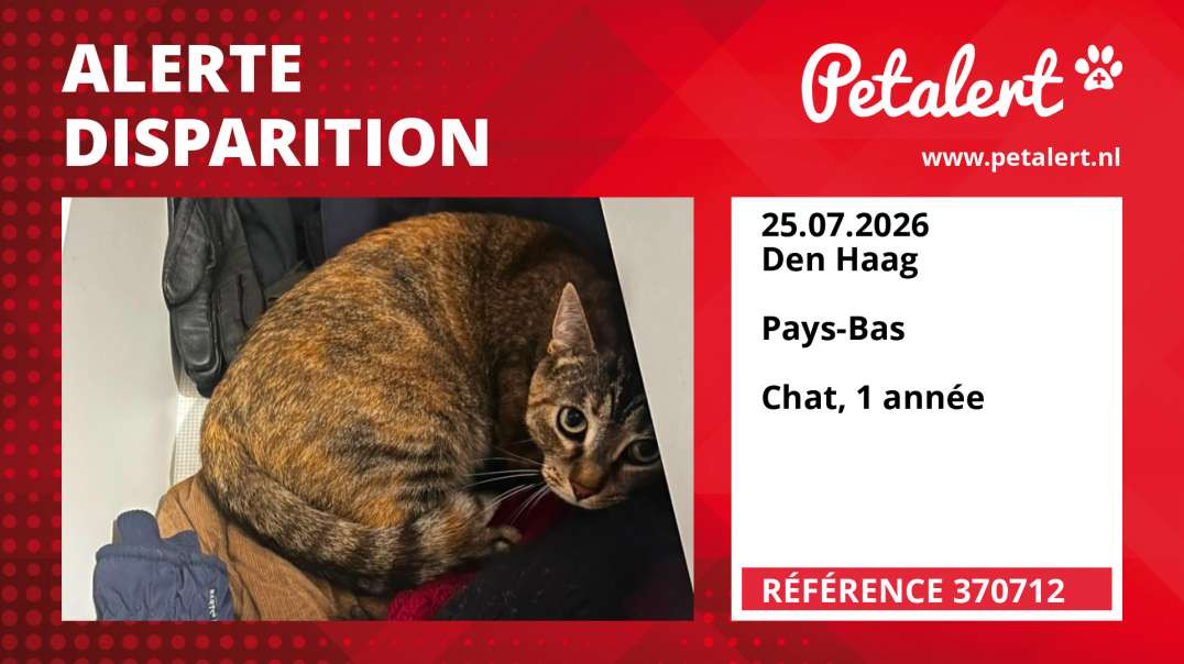 Alerte Disparition #370712 Den Haag /  / Pays-Bas