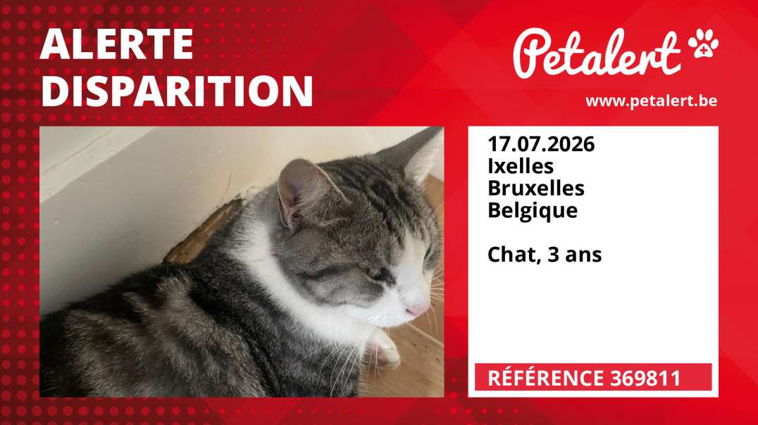 Alerte Disparition #369811 Ixelles / Bruxelles / Belgique