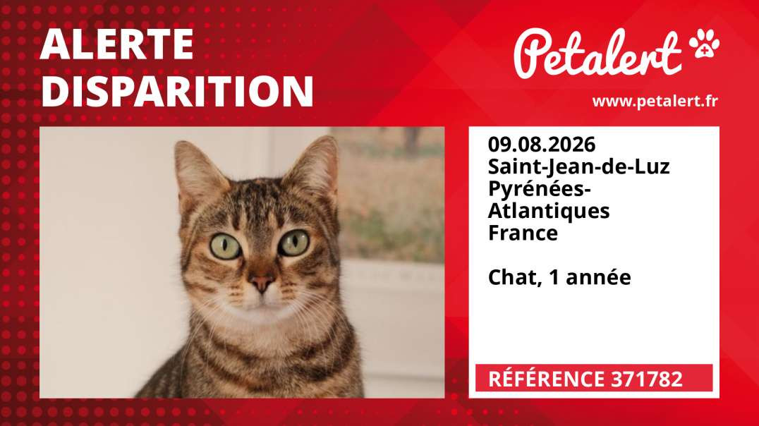 Alerte Disparition #371782 Saint-Jean-de-Luz / Pyrénées-Atlantiques / France