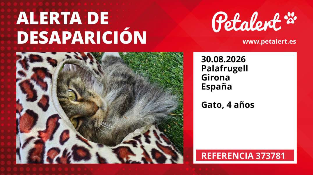 Alerta de Desaparición #373781 Palafrugell / Girona / España