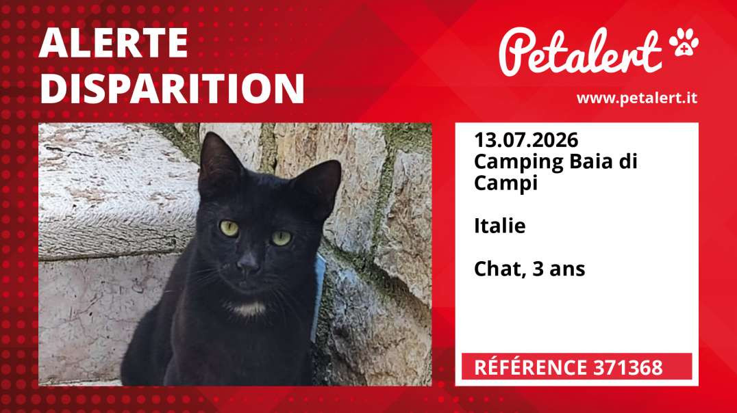 Alerte Disparition #371368 Camping Baia di Campi /  / Italie