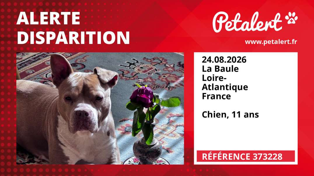 Alerte Disparition #373228 La Baule / Loire-Atlantique / France