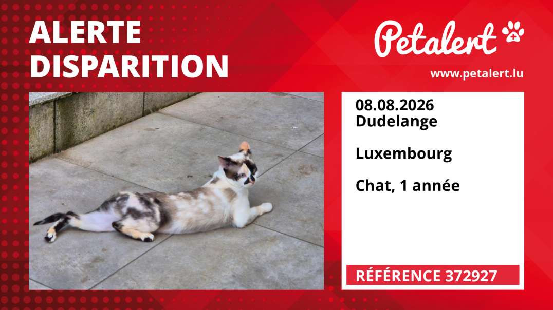 Alerte Disparition #372927 Dudelange /  / Luxembourg