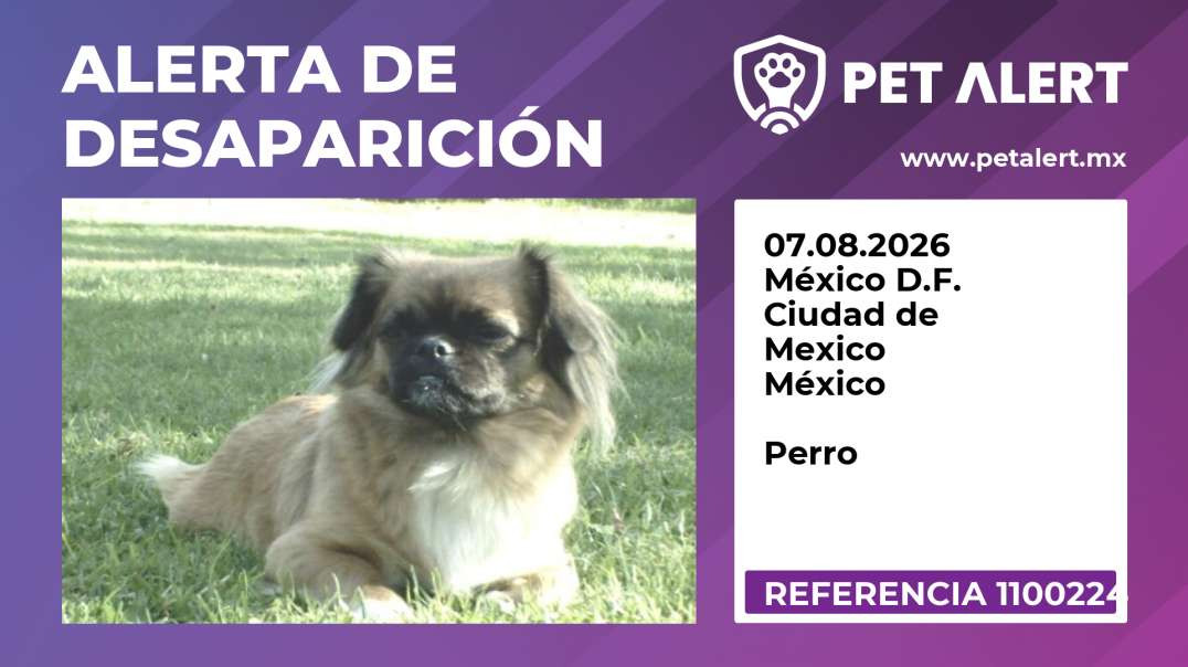 Alerta de Desaparición #1100224 México D.F. / Ciudad de Mexico / México