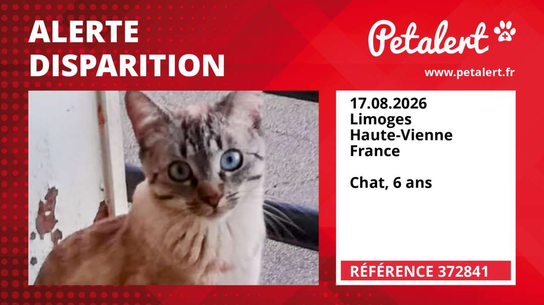 Alerte Disparition #372841 Limoges / Haute-Vienne / France