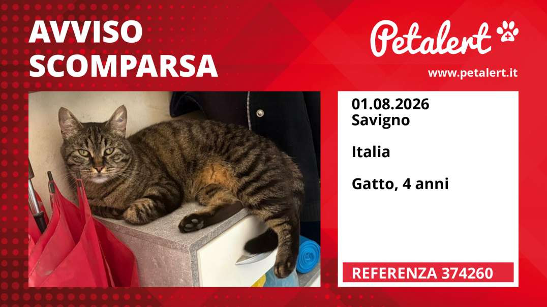 Avviso scomparsa #374260 Savigno /  / Italia