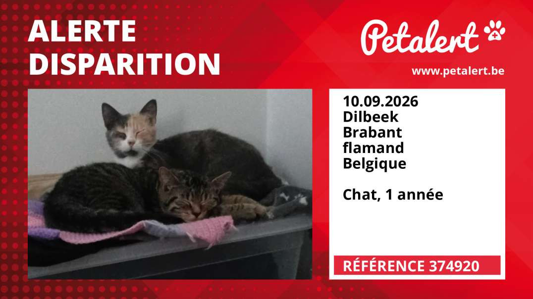 Alerte Disparition #374920 Dilbeek / Brabant flamand / Belgique