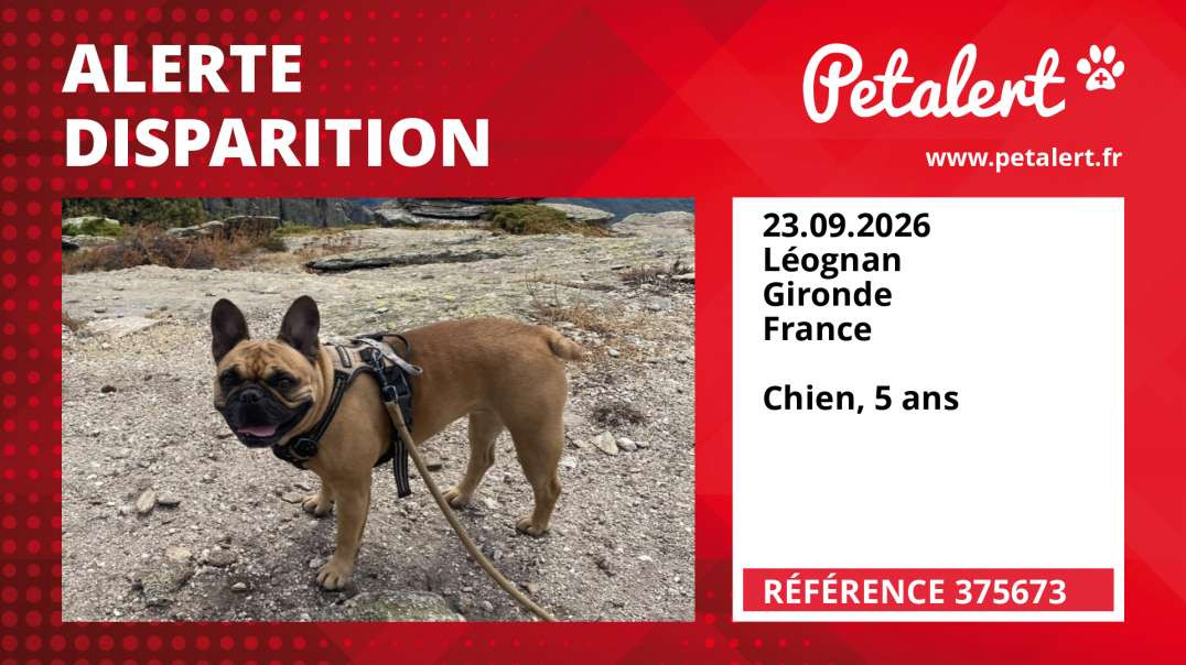 Alerte Disparition #375673 Léognan / Gironde / France