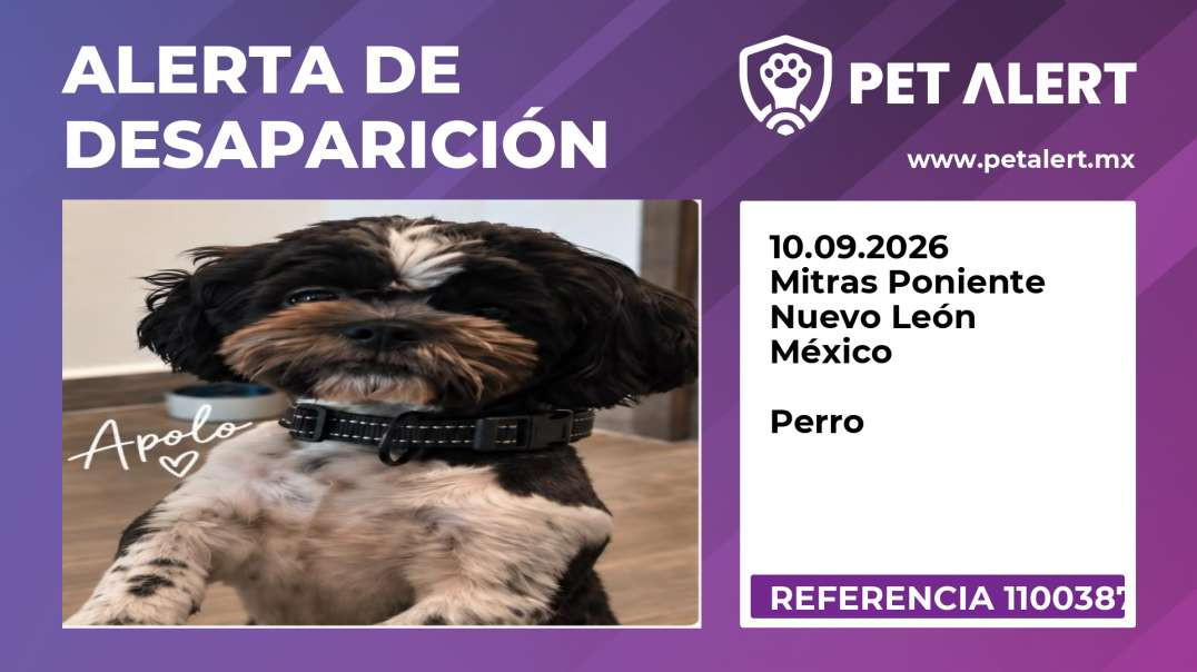Alerta de Desaparición #1100387 Mitras Poniente / Nuevo León / México