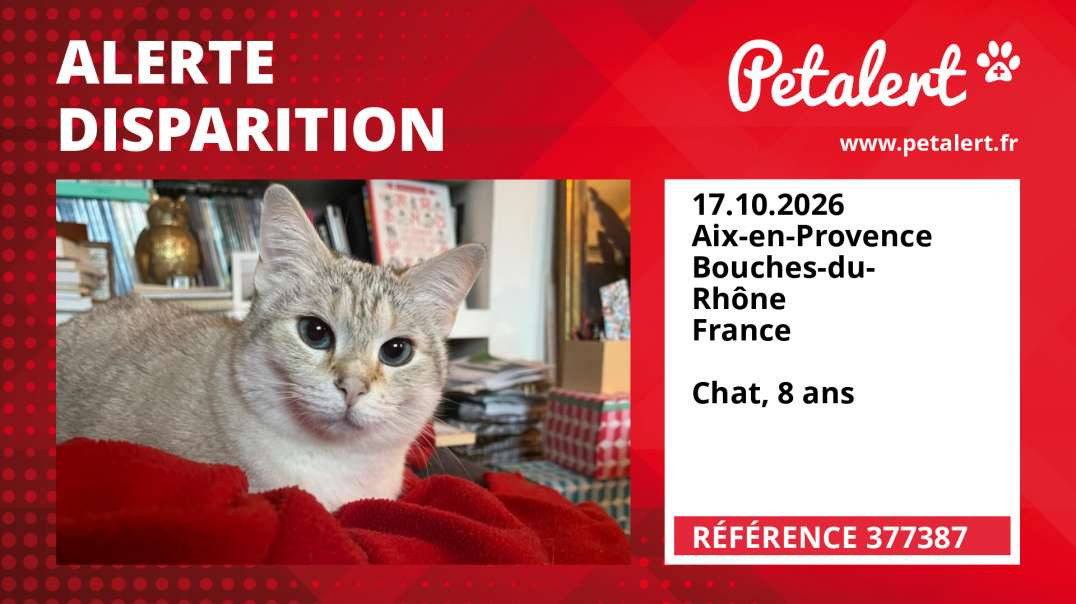 Alerte Disparition #377387 Aix-en-Provence / Bouches-du-Rhône / France