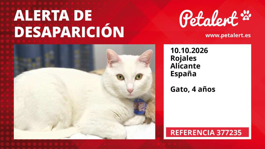 Alerta de Desaparición #377235 Rojales / Alicante / España