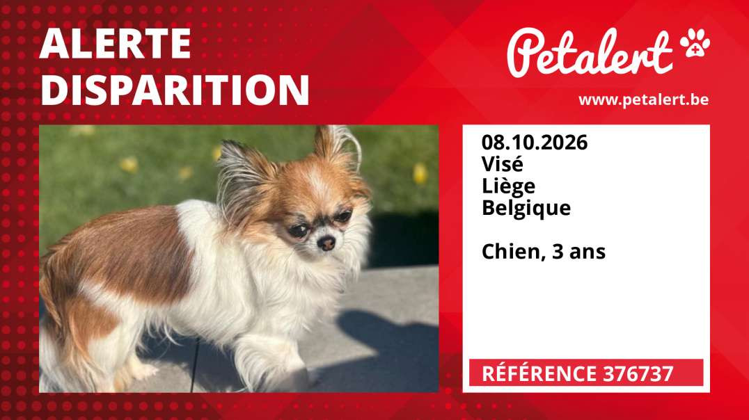 Alerte Disparition #376737 Visé / Liège / Belgique