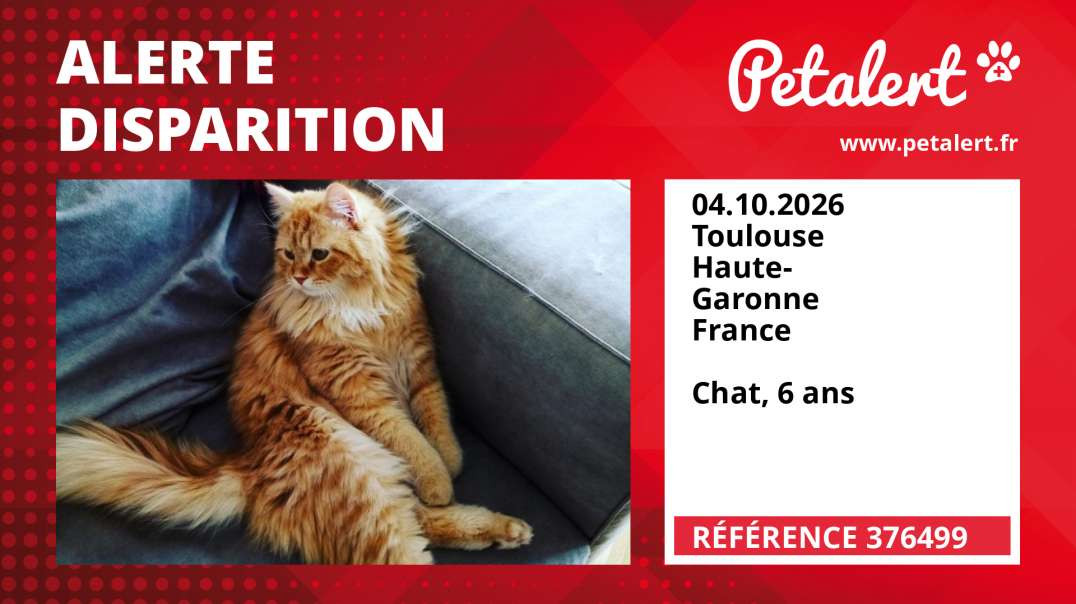 Alerte Disparition #376499 Toulouse / Haute-Garonne / France